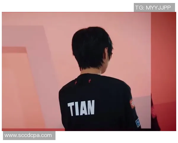 深入探讨FPX团队协作的优势与挑战及其对比赛表现的影响分析